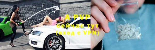 стаф Надым