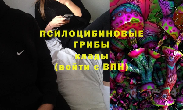 apvp Михайловка