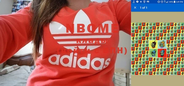 стаф Надым