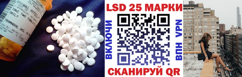 LSD-25 экстази ecstasy  купить наркотик  Нерчинск 