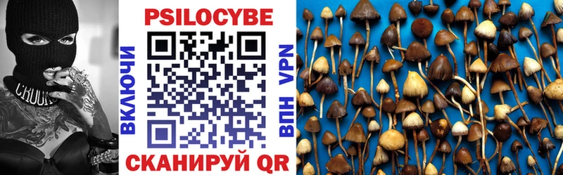 Галлюциногенные грибы MAGIC MUSHROOMS блэк спрут зеркало Нерчинск